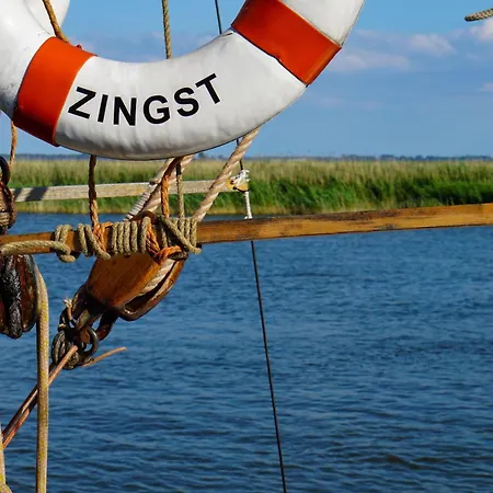 Seehund An Der Seebruecke Zingst Exterior photo